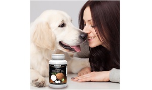 New Virgin Coconut Oil Pills Prove to be Suitable Dog Health Improvement Supplements