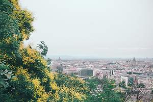 Why Is It Worth Hiring a Real Estate Attorney in Budapest? Top 6 Reasons