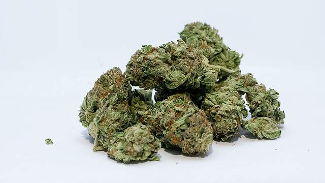 marijuana g80e508bd7 1280