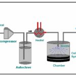 The Future of Extraction: Supercritical Fluid Techniques