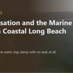 Coastal Weather Patterns
